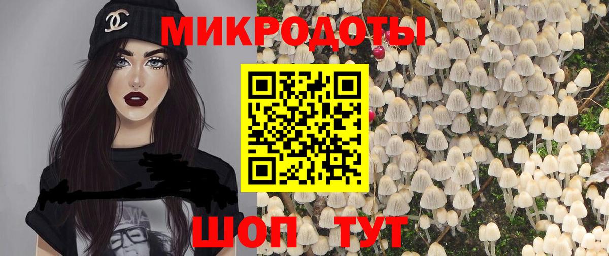 Галлюциногенные грибы Psilocybe  Вход с VPN  Тара 