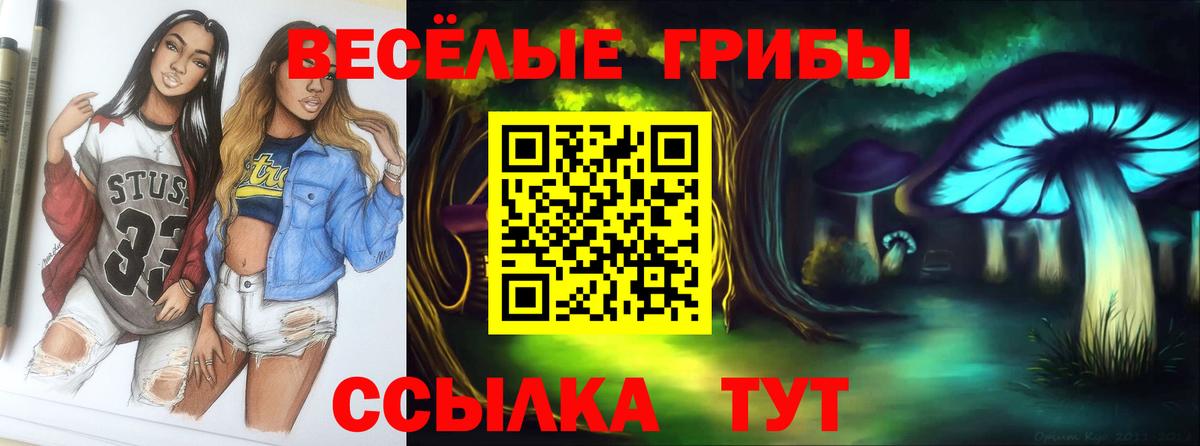 Галлюциногенные грибы Psilocybe Тара